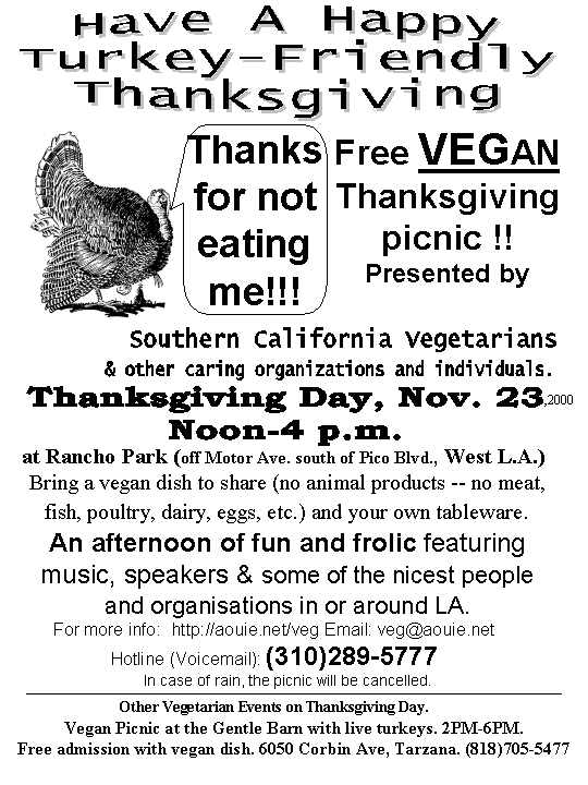 Picnic Flyer