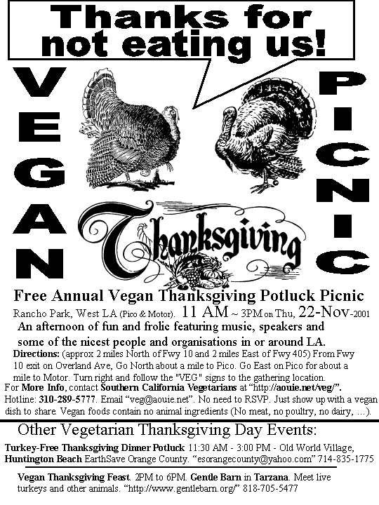 Picnic Flyer