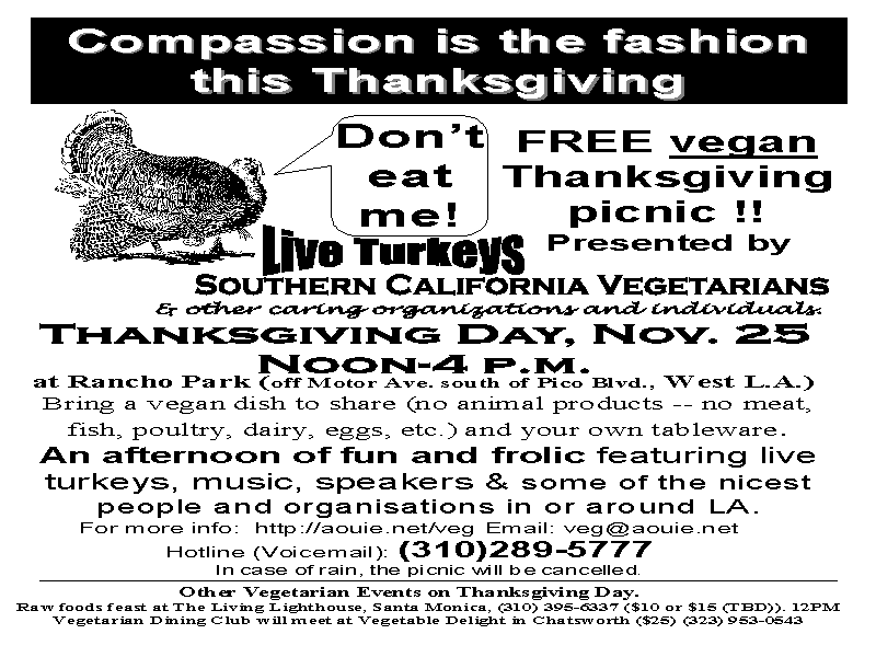 Picnic Flyer